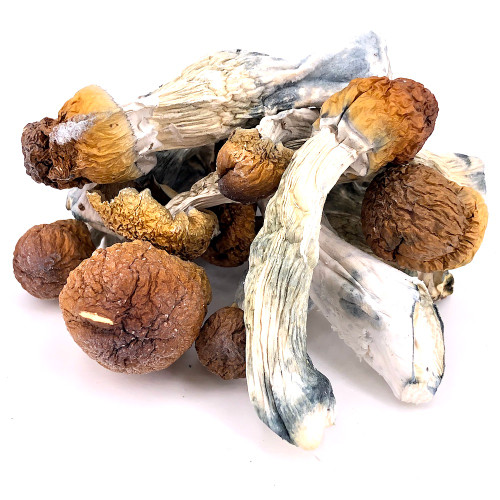 Experience a new level of psychedelic potency with Penis Envy magic mushrooms. These exotic mushrooms are known for their strong effects, delivering an intense trip that will leave you feeling euphoric and introspective. Buy Penis Envy online today and embark on a mind-bending journey like no other.