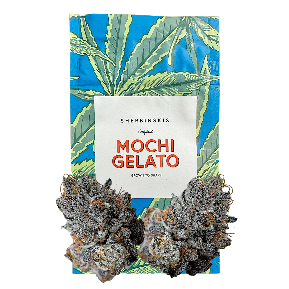 Mochi Gelato Mochi Gelato