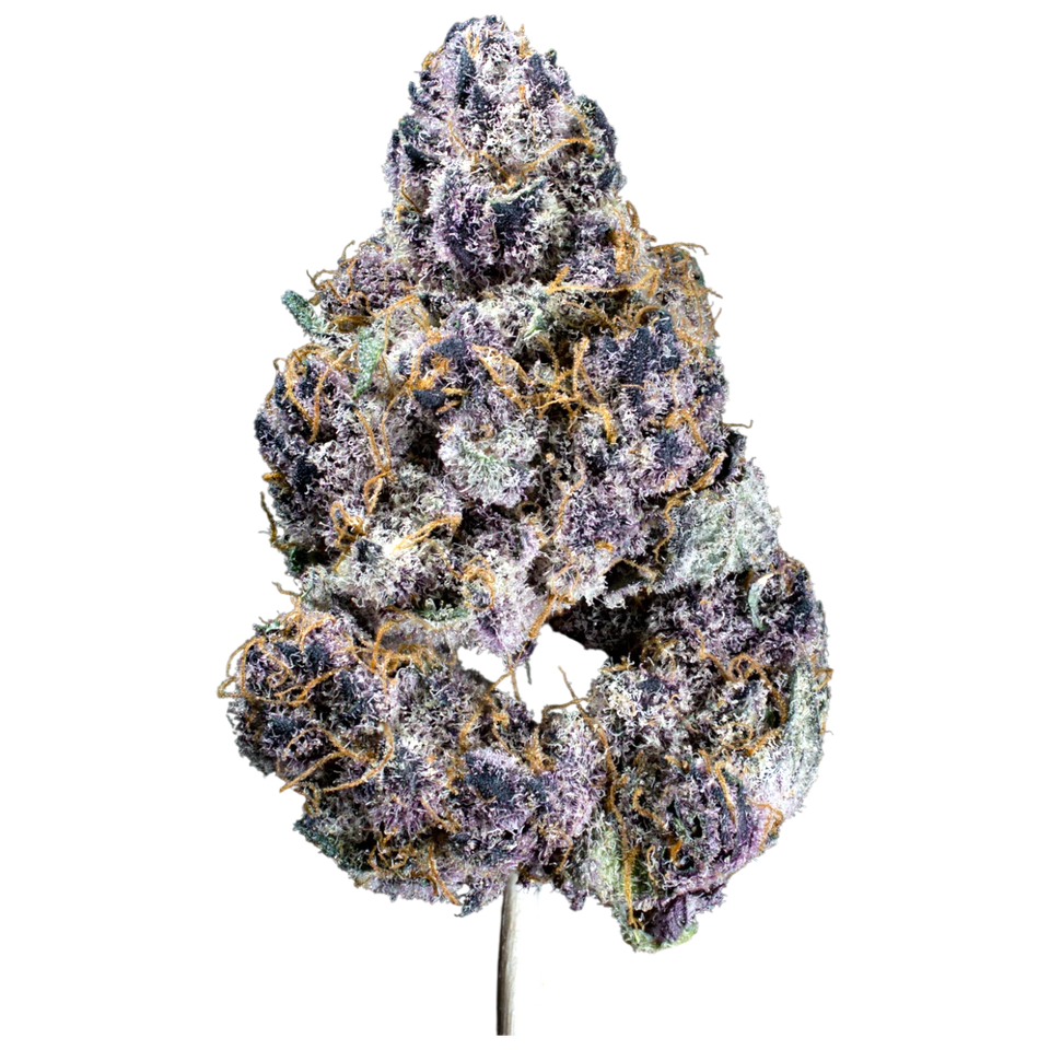 Black Unicorn - Sunset Sherbet | 3.5g Premium Cannabis Flower

Experience the bold flavor and potent effects of Black Unicorn’s Sunset Sherbet, a premium indica-dominant hybrid with deep purple hues and a sweet diesel scent. This top-tier THC cannabis flower delivers a smooth, flavorful smoke with fruity and citrus undertones, perfect for relaxation and euphoria. Lab-tested for purity and potency, Sunset Sherbet is hand-trimmed and expertly cured to ensure the highest quality. Order now from NaturesWayDelivery.com for fast, discreet cannabis delivery straight to your door!
