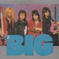 MR. BIG - VOODOO KISS (1CD) BONE BEAT RECORDS
