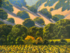 Close to Harvest  (Original Painting)  Oil on Canvas 16x20 Unframed by John Thomas Soltesz