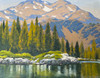 Tahoe Lakeside (Original Painting Oil on Linen 16 X 20 by John Thomas Soltesz