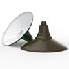 Customizable Calla Indoor/Outdoor LED Barn Light