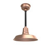 Vintage Indoor/Outdoor LED Barn Pendant Light with Downrod