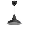 12" Dahlia LED Pendant Barn Light in Black