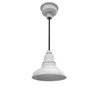 8" Dahlia LED Pendant Barn Light in White