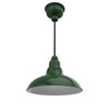 12" Dahlia LED Pendant Barn Light in Vintage Green