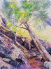 Skyward (Original Painting) Pastel Paper 12x16 by Bob Palmerton