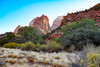 Desert Landscape at Zion National Park by Gloria Moeller