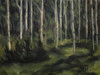Aspen Grove - Colorado (Original Painting) Oil on Canvas 9x12 by Brody Olson