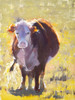 Out Standing in Her Field (Original Painting) Oil on Canvas 12x9 by Kristina Sellers