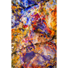 Petrified Wood Color Explosion by Dana Sharman