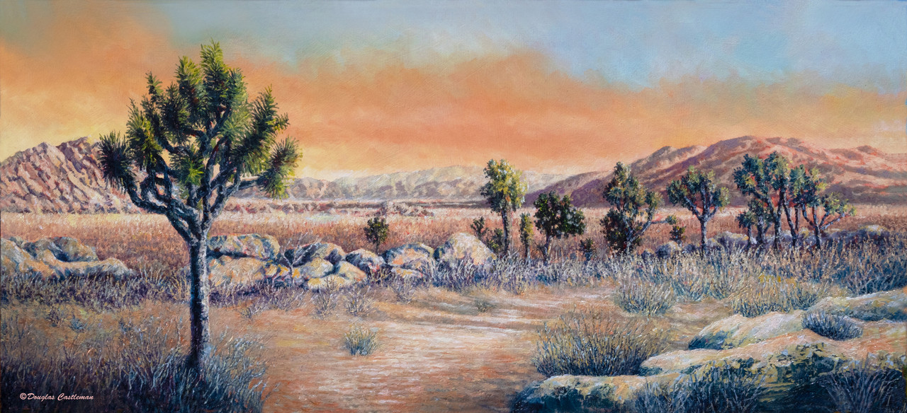 Joshua Tree Desert (Original Painting) Oil on Canvas 12x24 by