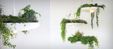 ​How To Use Plants With Lighting When Decorating Your Home