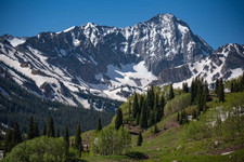 NICK JULIAN PHOTOGRAPHY