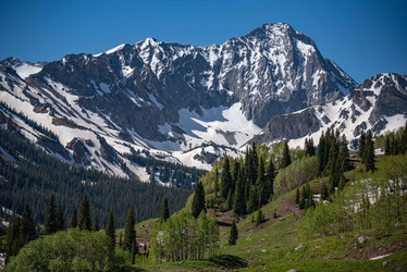 NICK JULIAN PHOTOGRAPHY