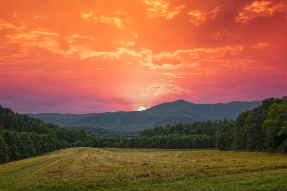 Vibrant Sunset Over Rolling Hills and Lush Meadows by Josh Blackman