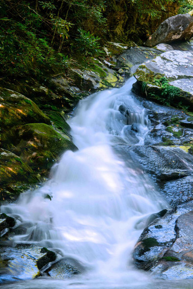 Waterfall Cascading Over Moss-Covered Rocks in a Lush Forest by Josh Blackman