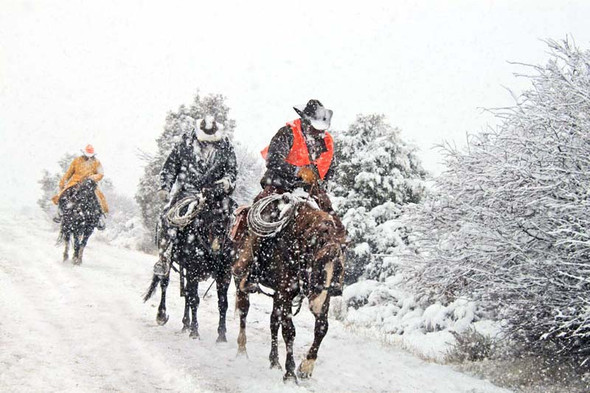 Bravin' the Blizzard