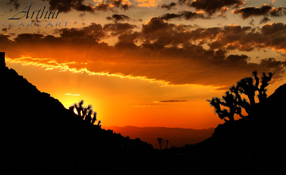 Skyfire at Joshua Tree National Park by Art Clark Skyfire at Joshua Tree National Park by Art Clark