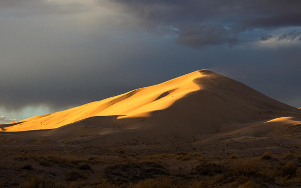 Windswept by Aaron Rashid