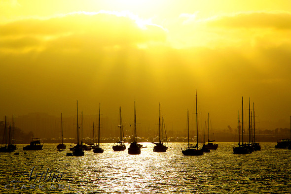 San Diego Harbor by Art Clark