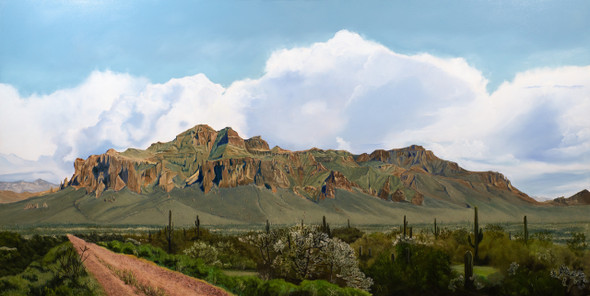 Road to Superstition (Original Painting) 18x36 Framed by Bethany Stephan