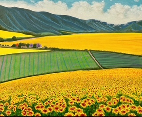 Sunflower Field Dixon, Ca (Original Painting) Oil on Canvas 20x24 Framed by Han Mook Kim