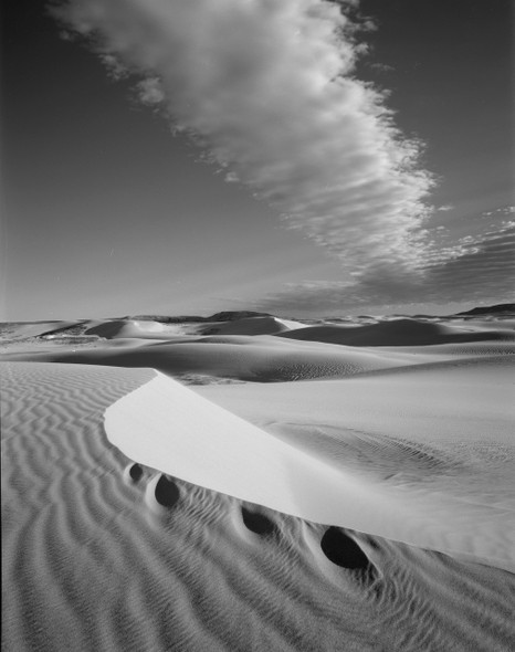 Dune & Cloud in Wyoming by William Lemke