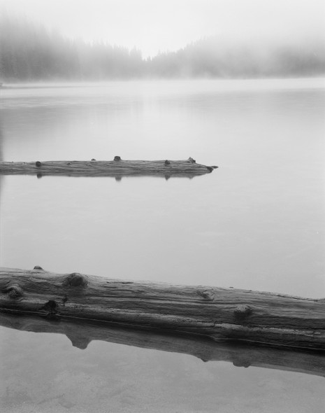 Logs in Pond Washington by William Lemke
