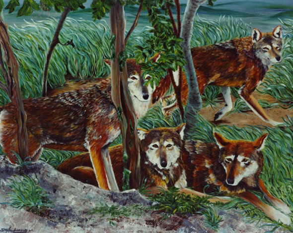 WATCHFUL EYES (Original Painting) Oil on Canvas 36 x 48 Unframed by Susan Andreasen