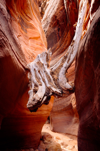 Between a Rock and Hard Place, Buckskin Gulch by Ruby Hour Photo Art ~ Marcela Herdova