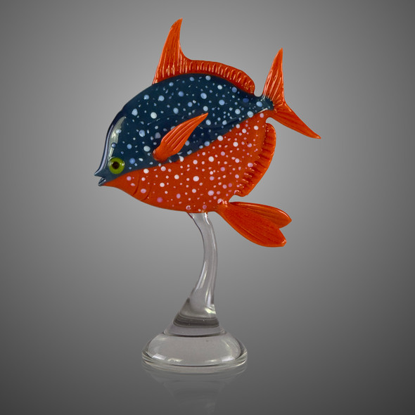 Opah by Robert Mickelsen