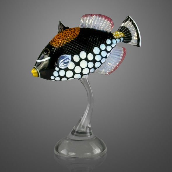 Clown Triggerfish by Robert Mickelsen