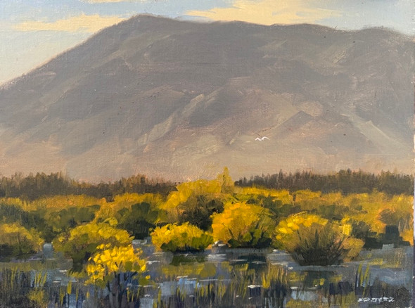 Sierra Wetlands (Original Painting) Oil on Canvas 12 X 16 by John Thomas Soltesz