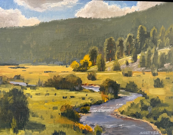 Trout Stream (Original Painting) Oil on Canvas 12 X 16 by John Thomas Soltesz
