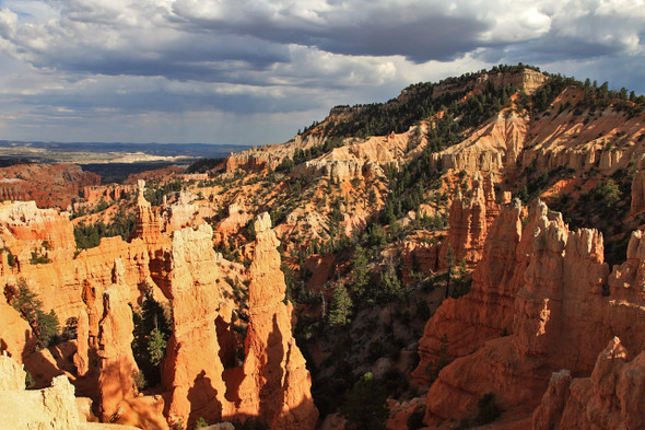 Bryce Canyon National Park by Fotodynamics / Ted Carlson - TCBC181