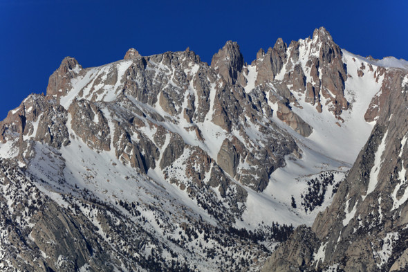 Sequoia National Park by Fotodynamics / Ted Carlson - TCSQ17