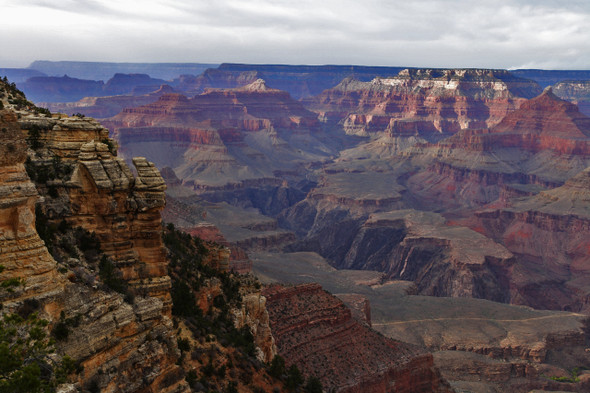 Grand Canyon National Park by Fotodynamics / Ted Carlson - TCGC65