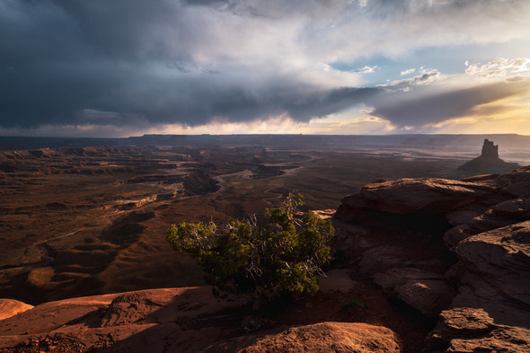 At the Edge of the Canyonlands - Canyonlands National Park by Justin Leveillee