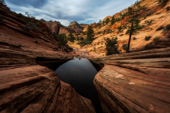 Many Pools - Zion National Park by Justin Leveillee