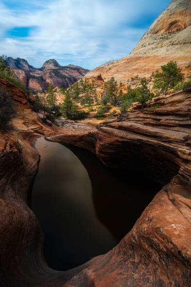 Pool with a View - Zion National Park by Justin Leveillee
