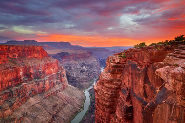 Toroweap Sunset (June 2020) - Grand Canyon North Rim, Arizona [David Balyeat]