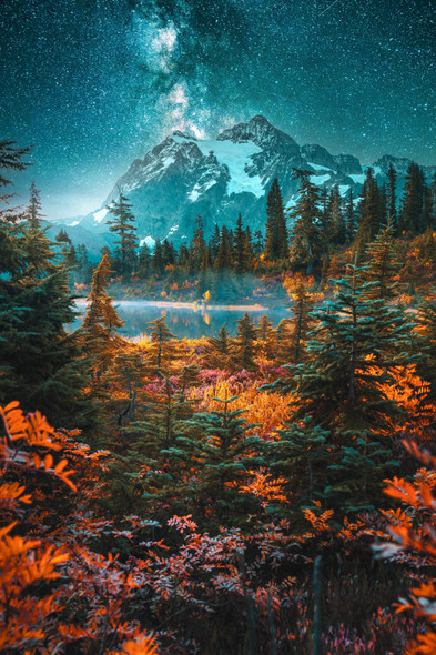 Autumnal Dreams - Mount Baker National Forest by Zach Doehler