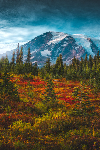 Serenity of Autumn - Mount Rainier National Park by Zach Doehler