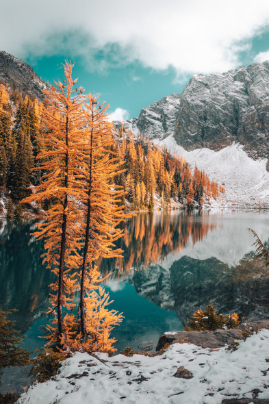 Frosted Flakes - North Cascades National Park by Zach Doehler