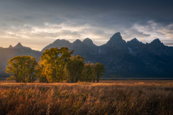 Teton Glow - Grand Teton National Park by Justin Leveillee