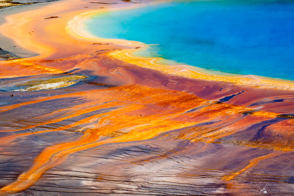 Grand Prismatic Spring - Yellowstone National Park by Ruby Hour Photo Art ~ Marcela Herdova