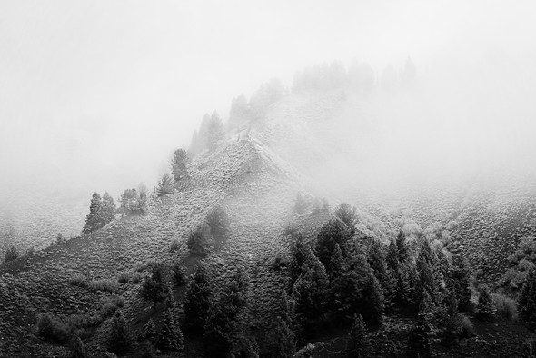 Misty Hills in Grand Teton National Park by Ruby Hour Photo Art ~ Marcela Herdova