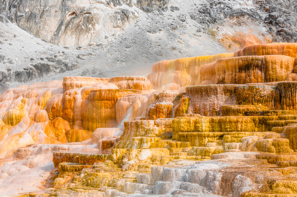 Morning Light on Mammoth Springs in Yellowstone National Park by Ruby Hour Photo Art ~ Marcela Herdova